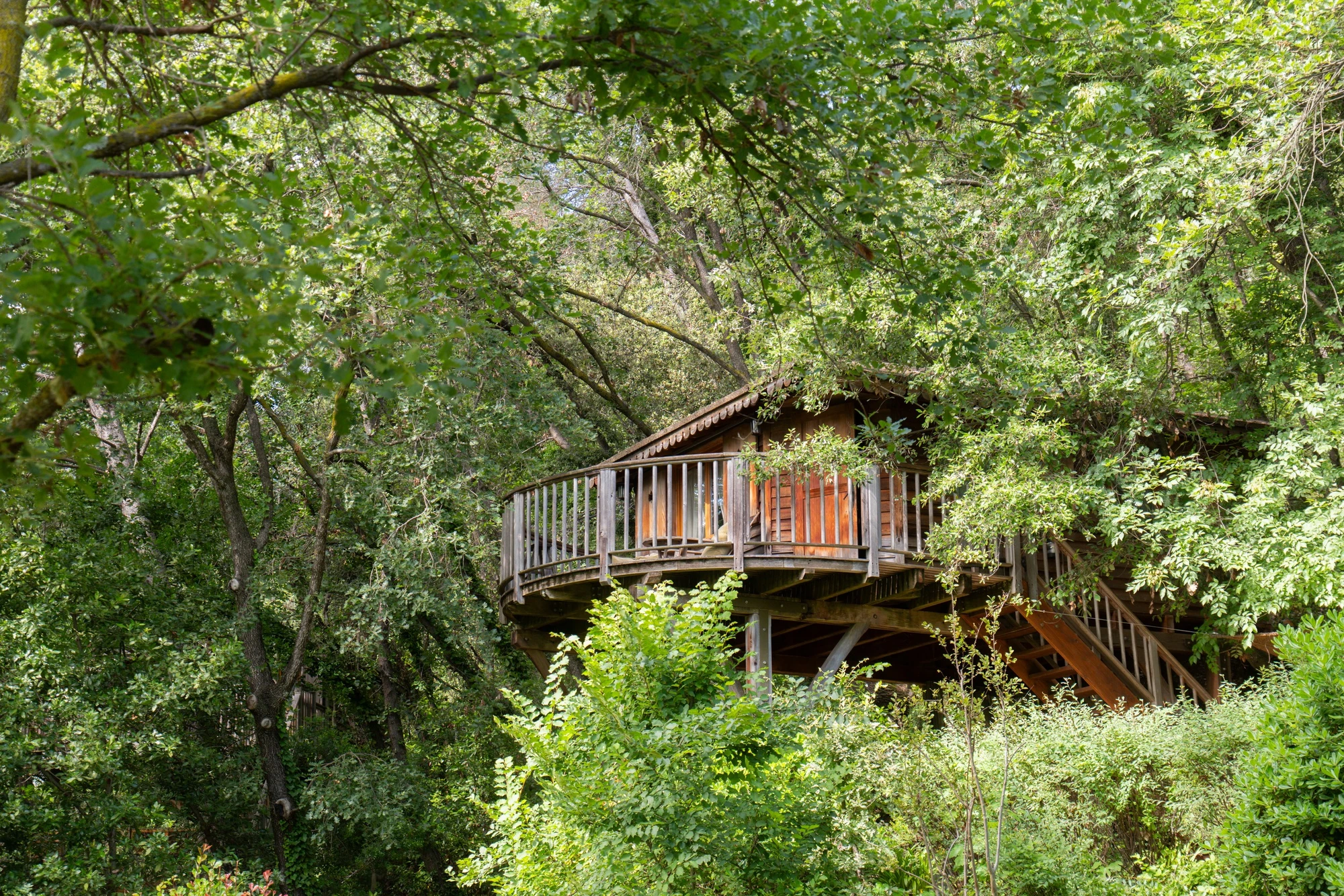 La cabane Bagheera et sa terrasse ronde, perchées dans les arbres